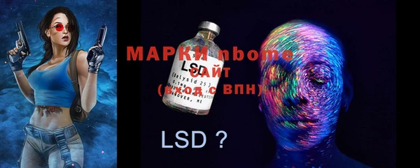 тгк Касимов