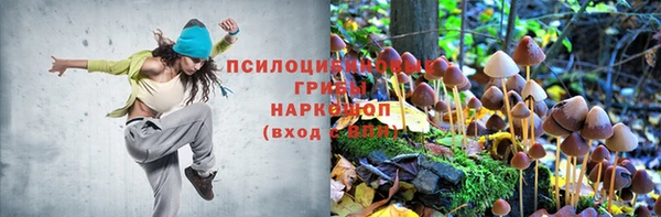 стаф Киренск