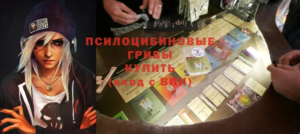 дурь Новозыбков