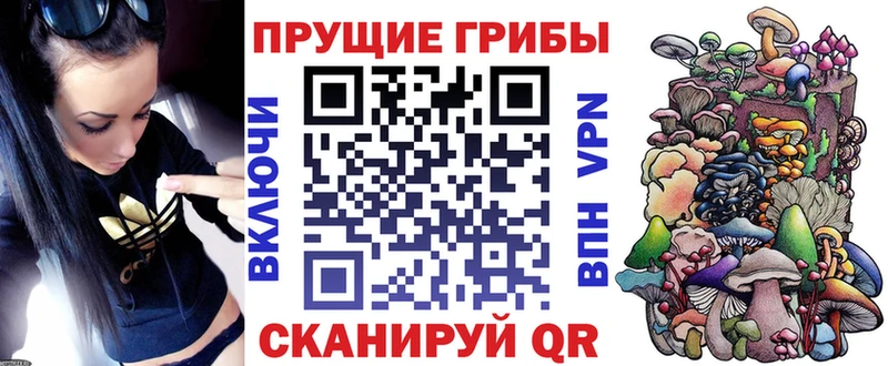 купить наркоту  гидра ССЫЛКА  Галлюциногенные грибы Psilocybe  Красновишерск 